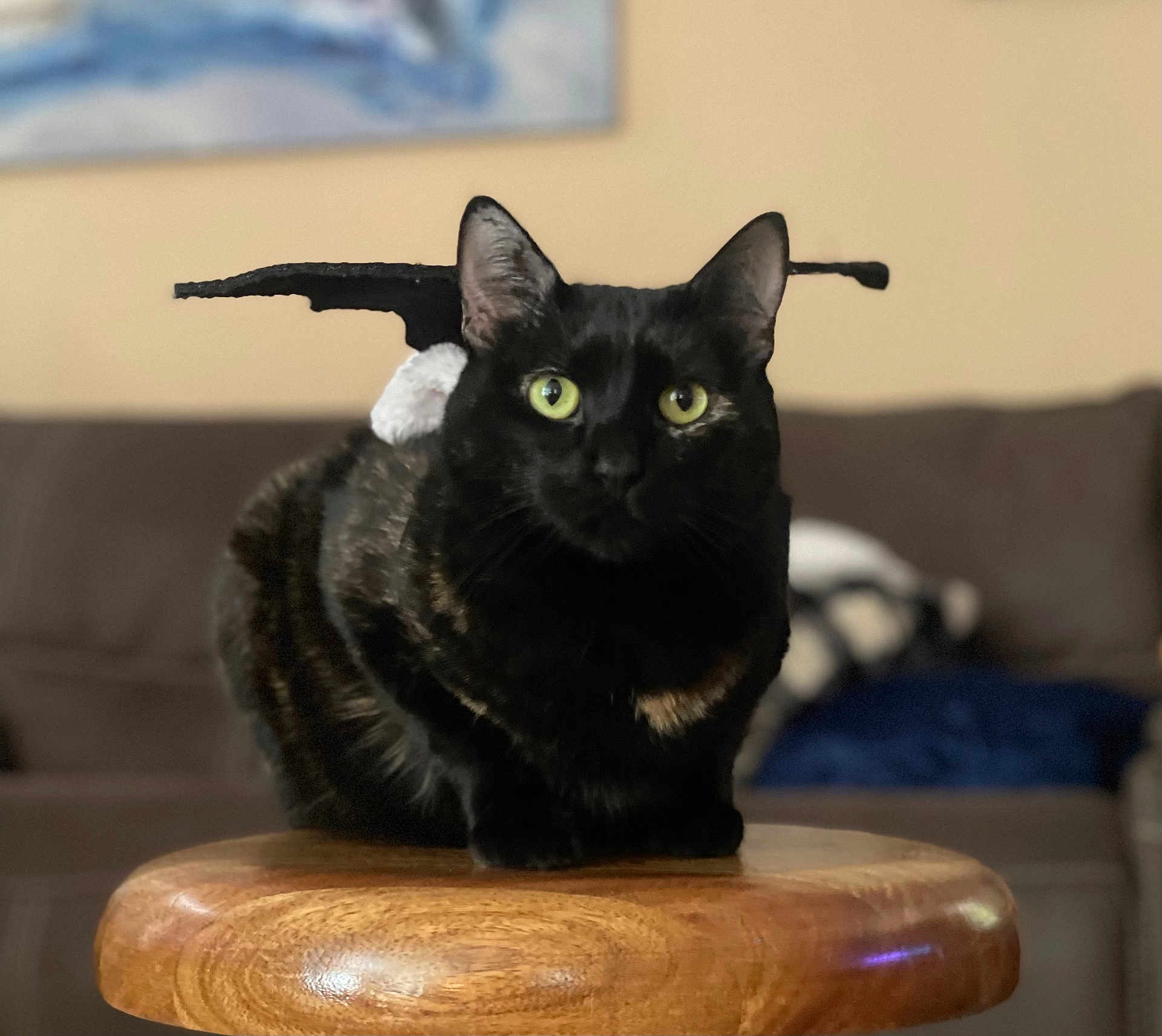Cinda