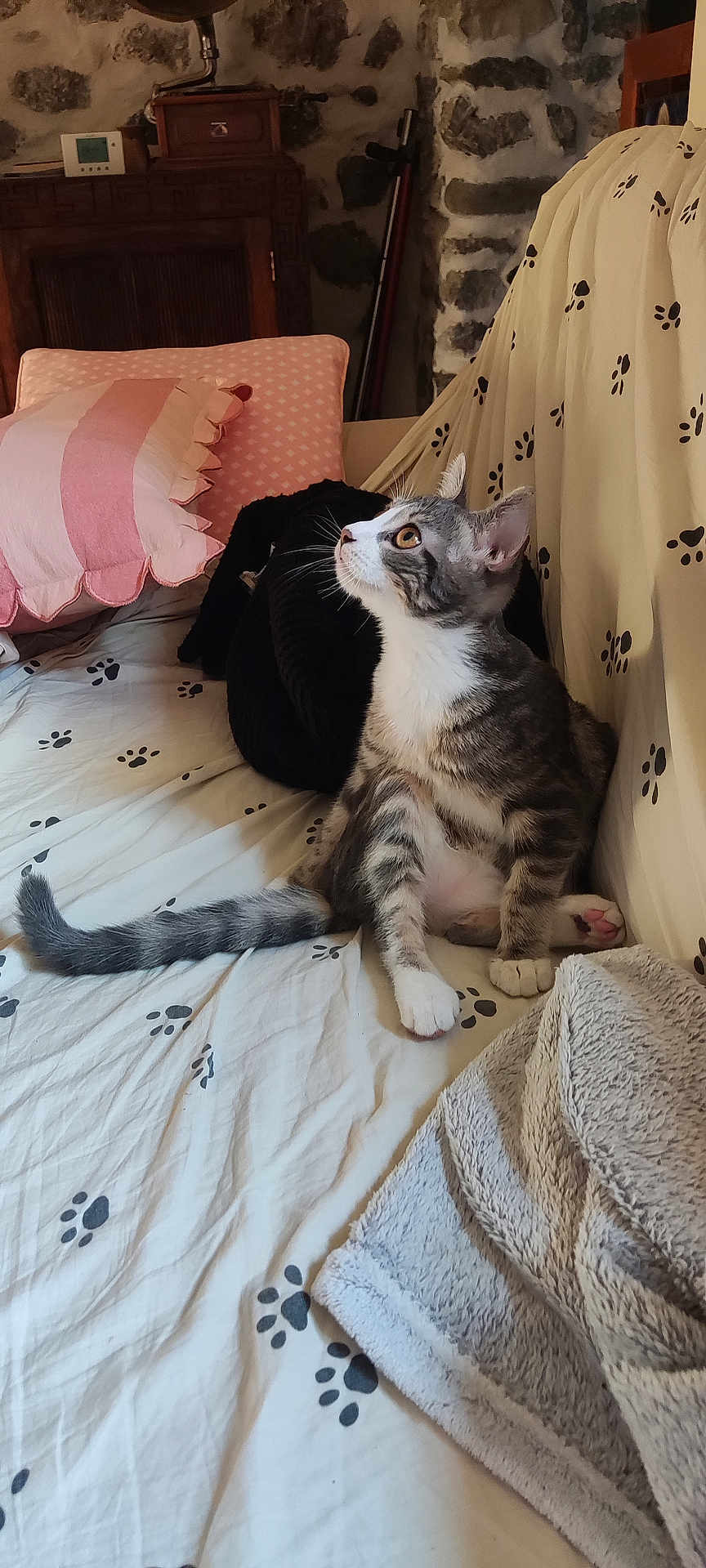 Nala