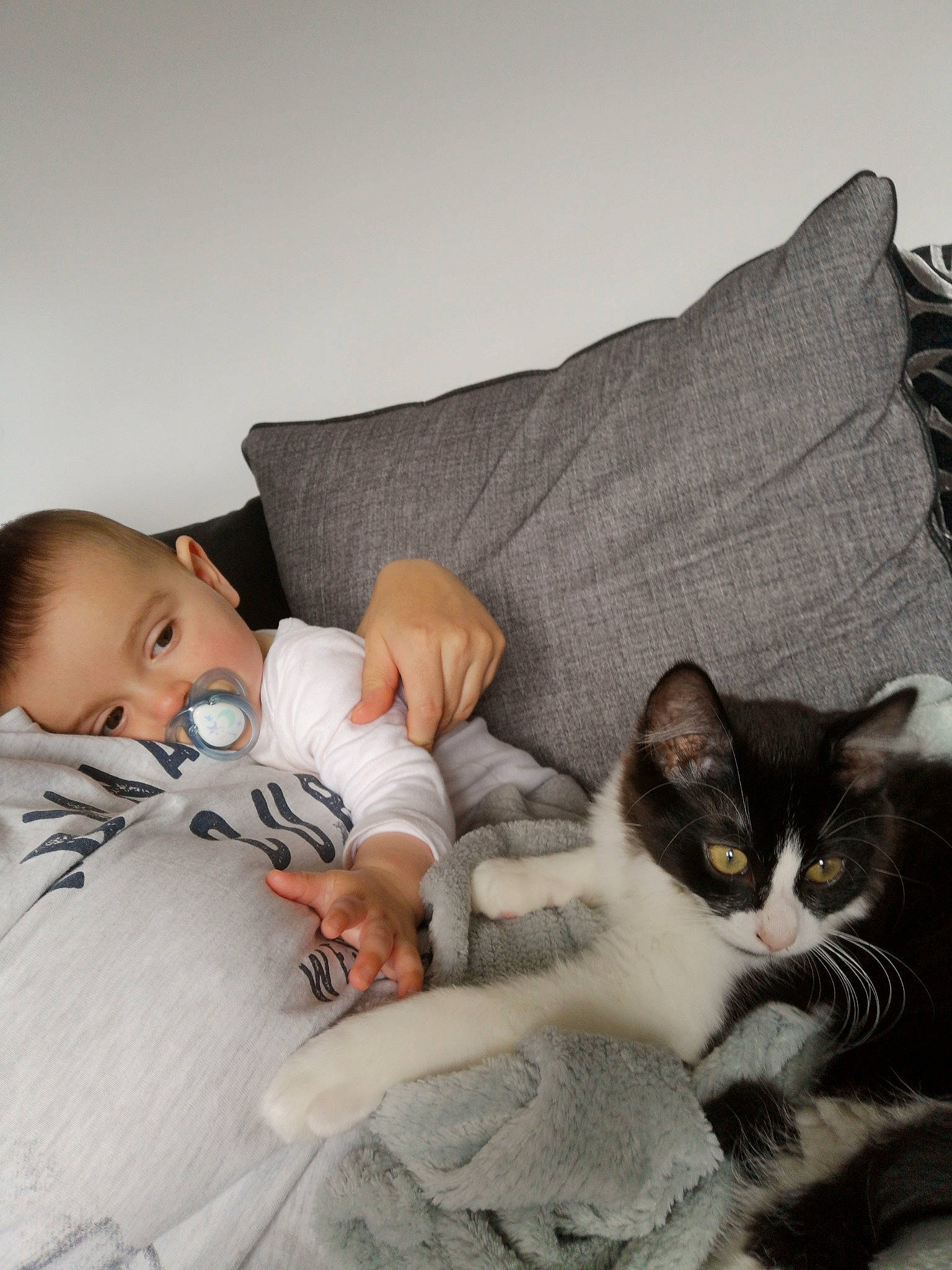 Buz is registered to the contest to win money with this photo: baby, bed, bedtime, carnivore, cat, child, comfort, felidae, fur, hug, kitten, nap, room, sleep, small_to_medium_sized_cats, toddler, whiskers