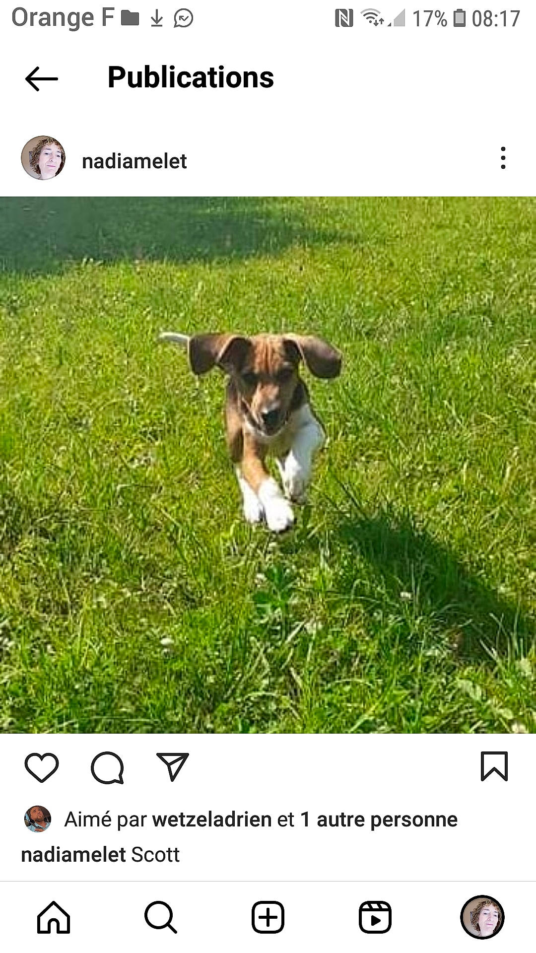 Scott participe au concours pour gagner de l'argent avec cette photo : adaptation, carnivore, companion_dog, dog, dog_breed, ecoregion, font, grass, grass_family, grassland, groundcover, happy, landscape, natural_landscape, photo_caption, plant, prairie, rectangle, terrestrial_plant, working_animal