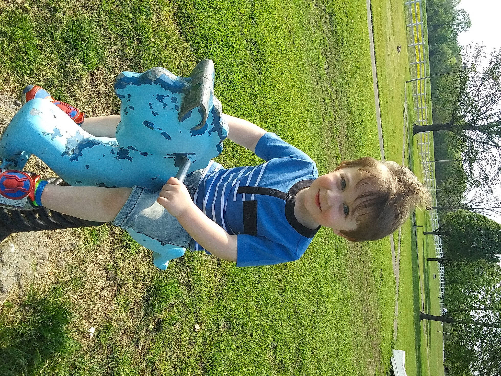 Sawyer is registered to the contest to win money with this photo: botany, child, electric_blue, fun, grass, green, happy, joy, lawn, leisure, mammal, meadow, natural_environment, nature, people_in_nature, person, plant, recreation, sky, summer