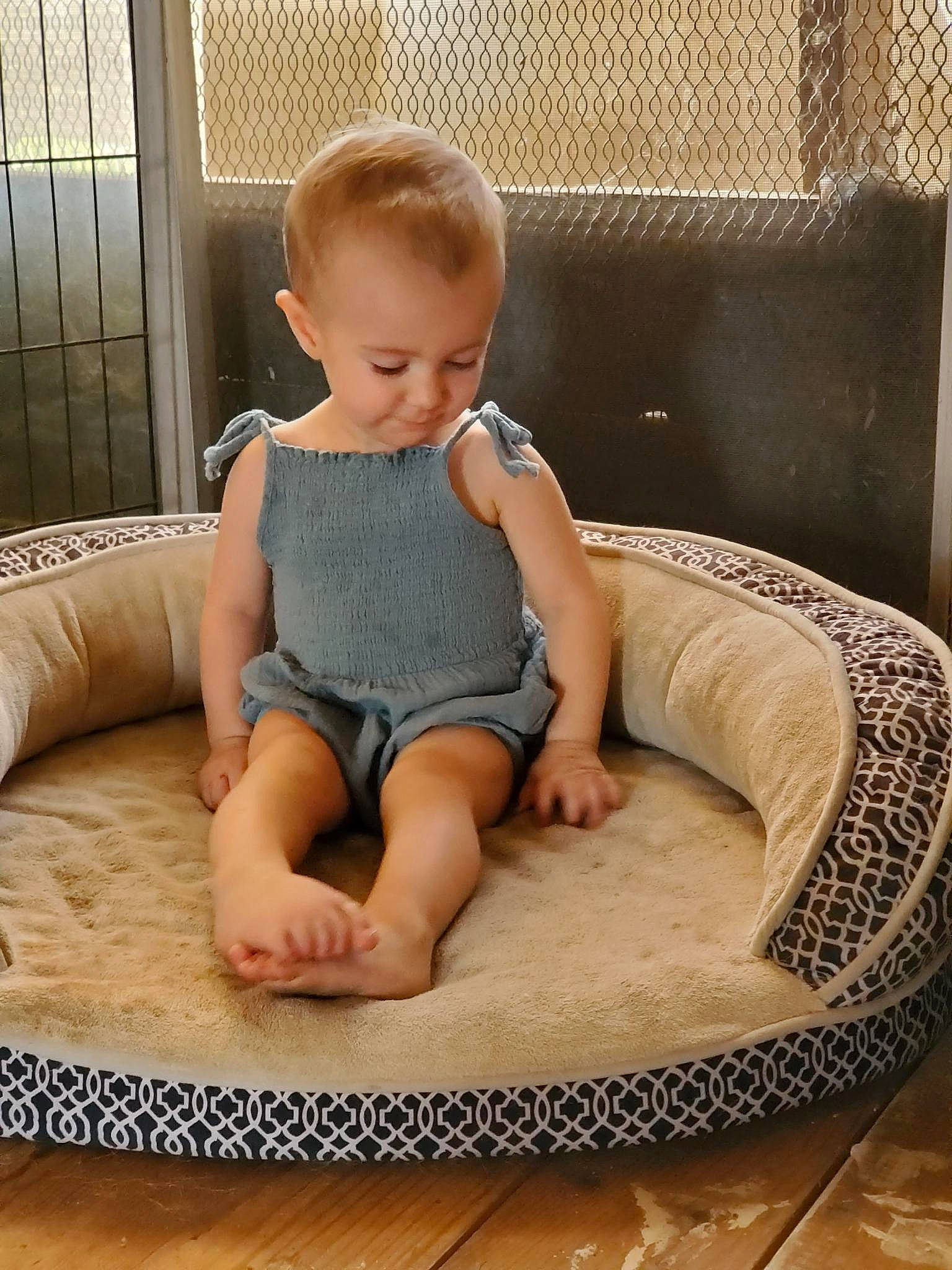 Anastasia joined the competition — help win amazing prizes! baby, baby_toddler_clothing, barefoot, child, circle, comfort, couch, flooring, foot, human_leg, knee, leg, leisure, living_room, person, shorts, sitting, studio_couch, thigh, toddler