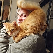 Timba participe au concours pour gagner de l'argent avec cette photo : abyssinian, accessories, adult, animal, cat, clothing, computer, couch, electronics, face, female, furniture, glasses, head, kitten, knitwear, person, pet, sweater, woman