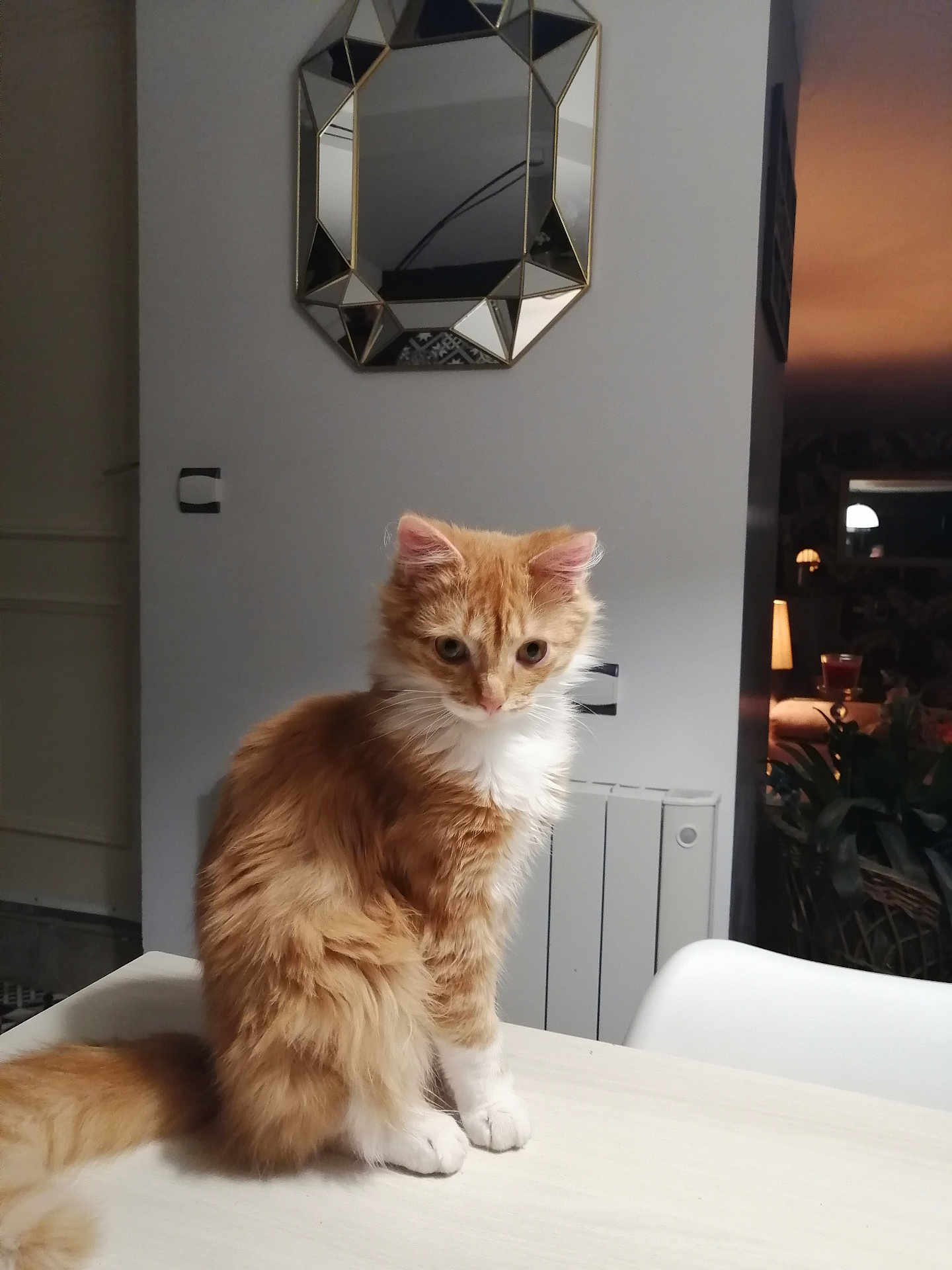 Timba