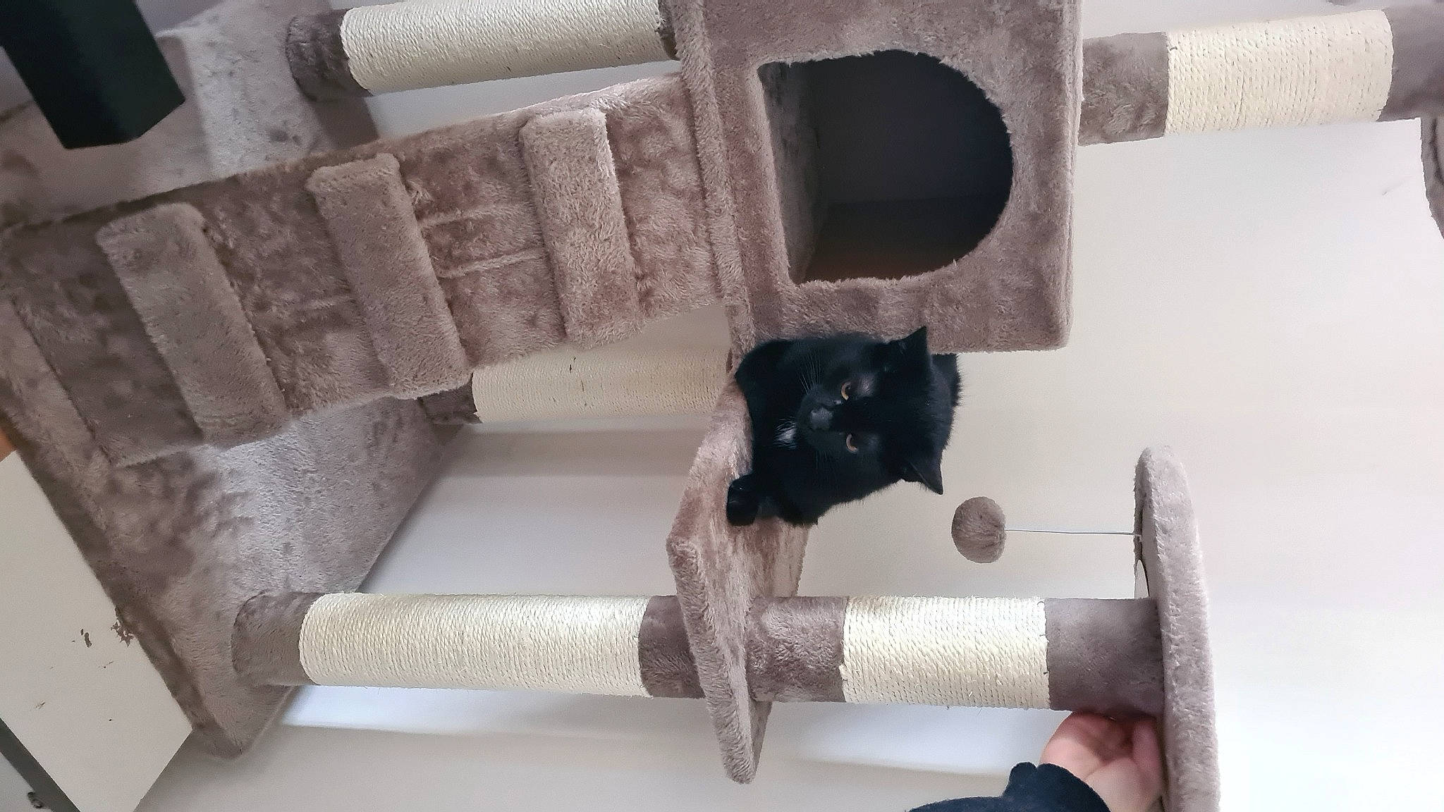 Darwin a rejoint le concours — aidez-le/la à gagner de superbes lots ! pipe