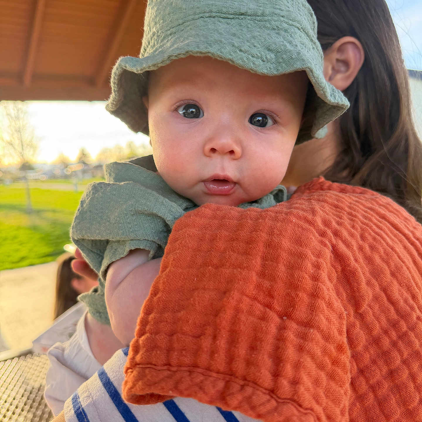Bear joined the competition — help win amazing prizes! baby, child, green_hat, green_clothing, orange_cloth, person, outdoor, park, sunlight, face, holding, close_up, portrait, young_child, headwear, nature, daylight, human, skin, expression