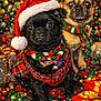 animal, celebration, christmas, cute, decorations, dog, festive, gift, green, holiday, lights, pet, plaid, present, pug, red, santa_hat, scarf, tree, winter