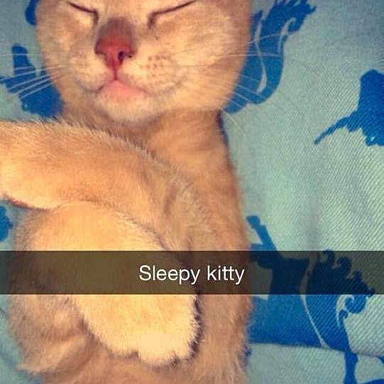 Skitso