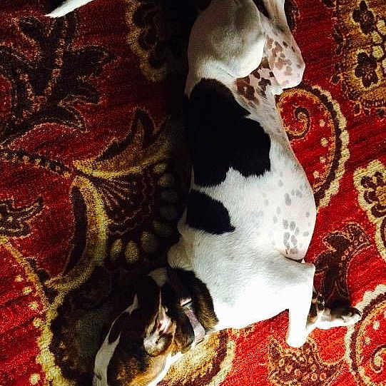 Charley is registered to the contest to win money with this photo: