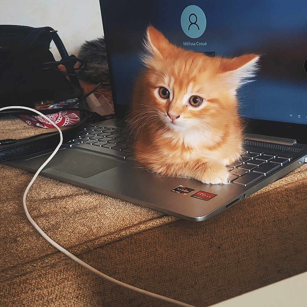 élie
