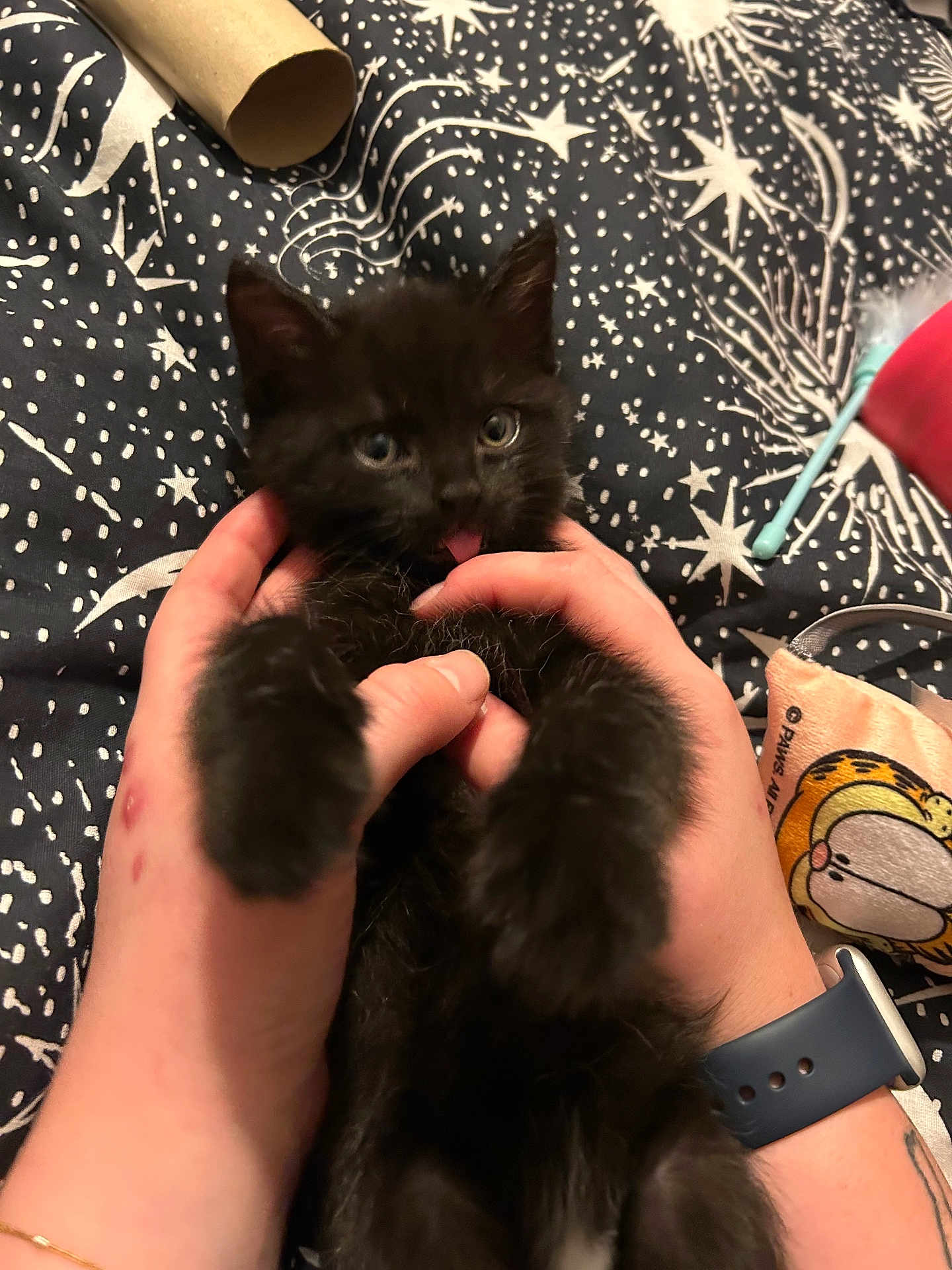 Dougie