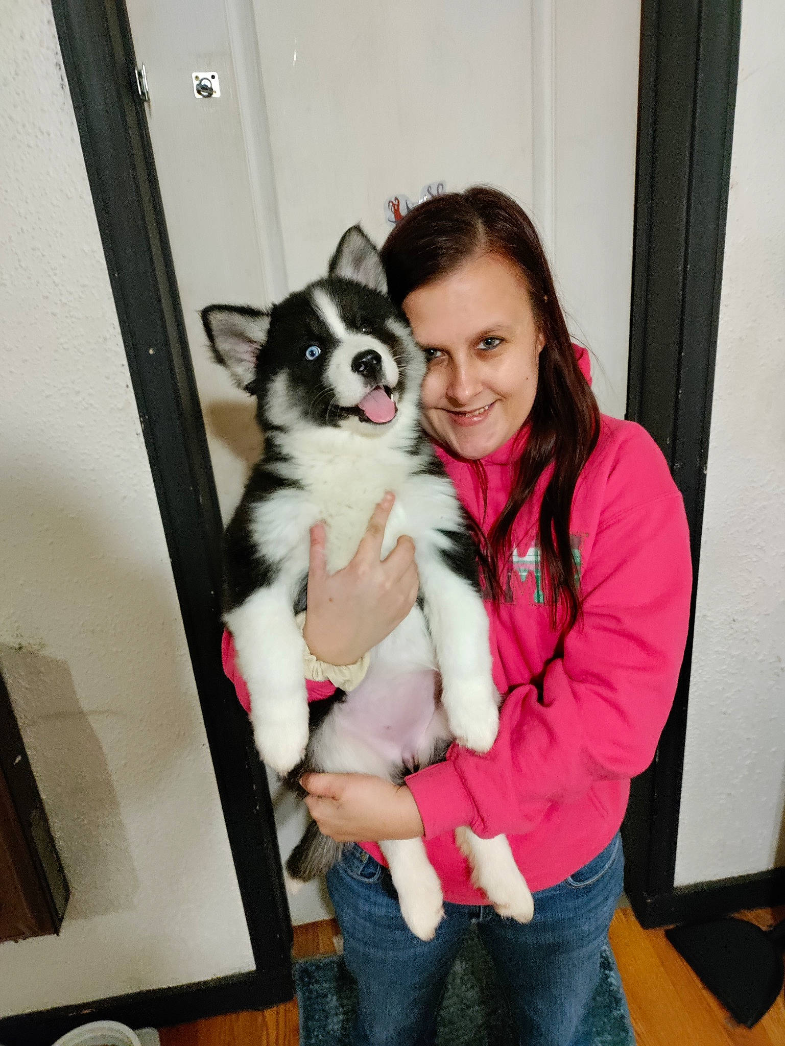 Awara is registered to the contest to win money with this photo: canidae, carnivore, companion_dog, dog, dog_breed, dog_supply, event, formal_wear, fun, fur, lap, non_sporting_group, room, sitting, smile, sporting_group, toy_dog, working_dog