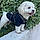 Kily