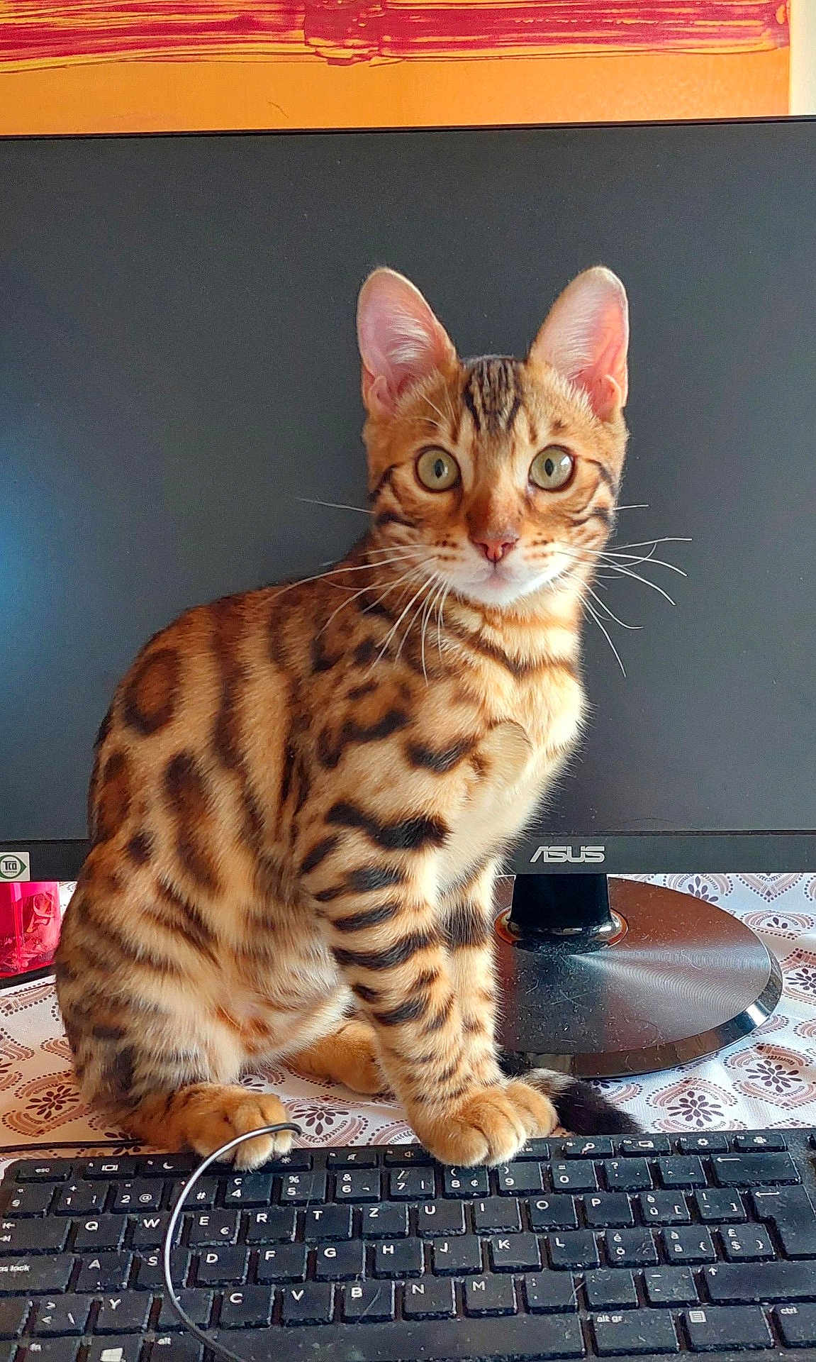 Kalou