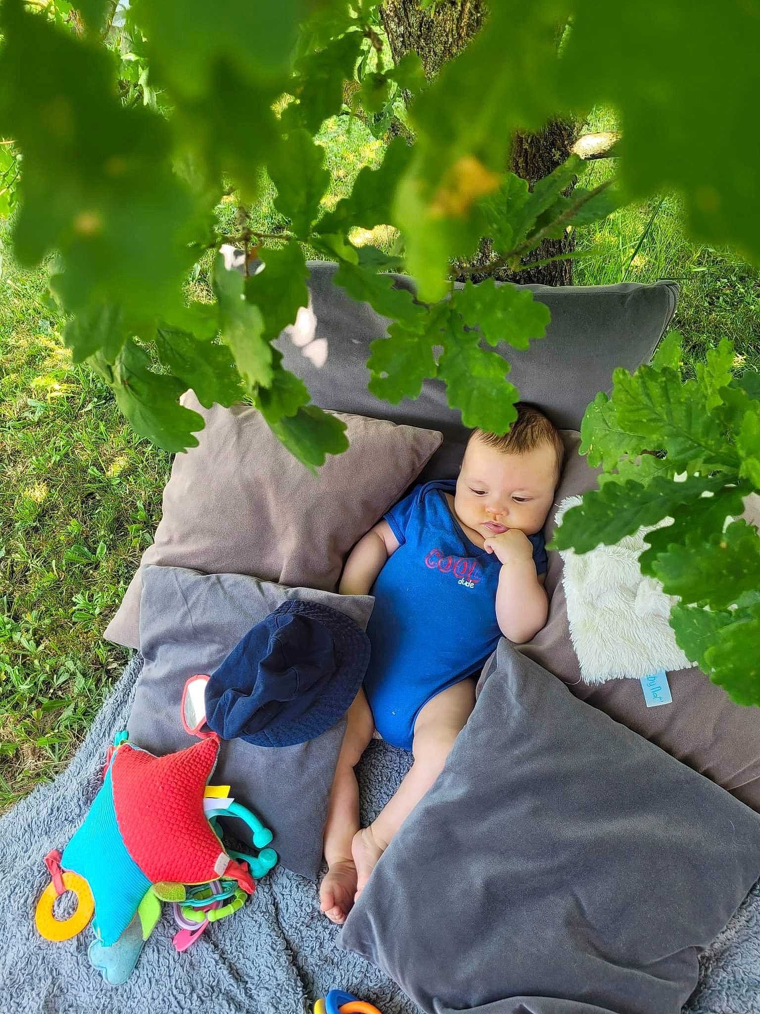 Léo participe au concours pour gagner de l'argent avec cette photo : child, electric_blue, flowering_plant, fun, garden, grapevine_family, grass, happy, hat, leaf, leisure, people_in_nature, person, plant, play, sitting, stuffed_toy, toddler, toy, tree