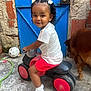 toddler, child, toy_vehicle, red, black, white_shirt, red_shorts, white_socks, white_shoes, blue_door, dog, concrete_floor, outdoor, hair_bows, curly_hair, play, pet, smile, fence, wall