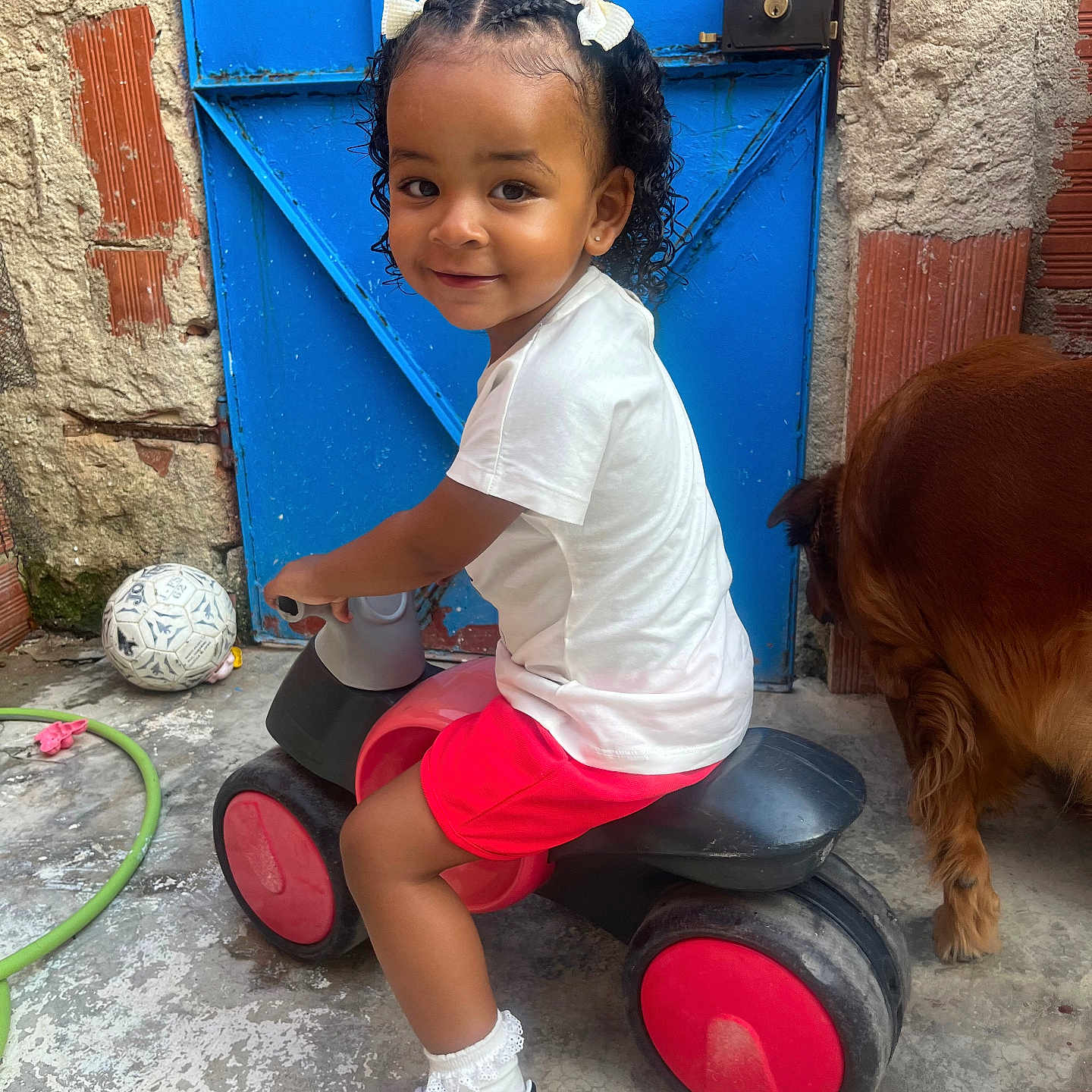 Kieza a rejoint le concours — aidez-le/la à gagner de superbes lots ! black, blue_door, child, concrete_floor, curly_hair, dog, fence, hair_bows, outdoor, pet, play, red, red_shorts, smile, toddler, toy_vehicle, wall, white_shirt, white_shoes, white_socks