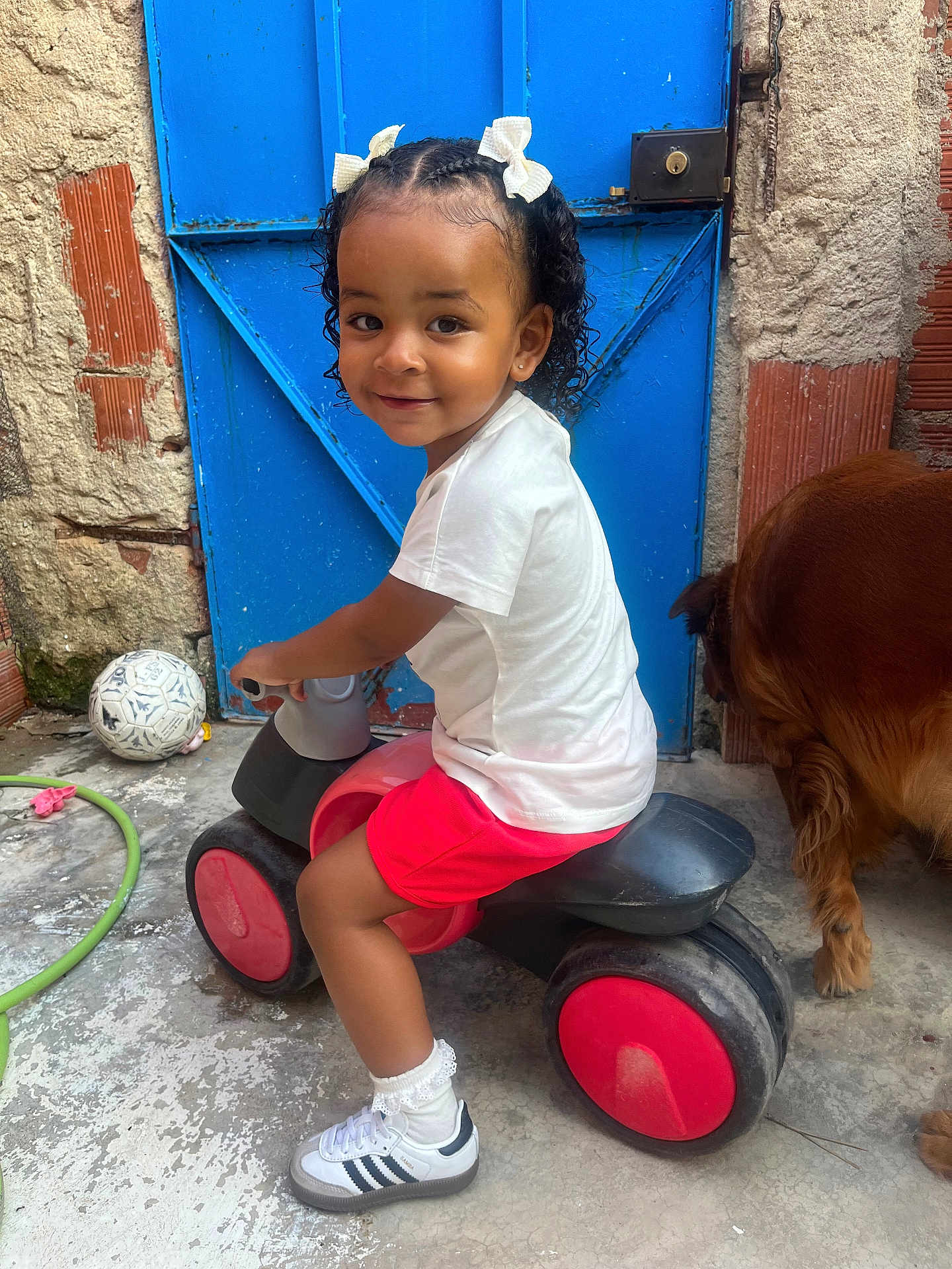 Kieza a rejoint le concours — aidez-le/la à gagner de superbes lots ! toddler, child, toy_vehicle, red, black, white_shirt, red_shorts, white_socks, white_shoes, blue_door, dog, concrete_floor, outdoor, hair_bows, curly_hair, play, pet, smile, fence, wall