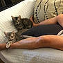 Pearl Et Tahiti participe au concours pour gagner de l'argent avec cette photo : kitten, cat, animal, pet, couch, quilted, white, pillow, legs, human, relaxing, indoors, furniture, cute, furry, resting, striped, tabby, small, cozy