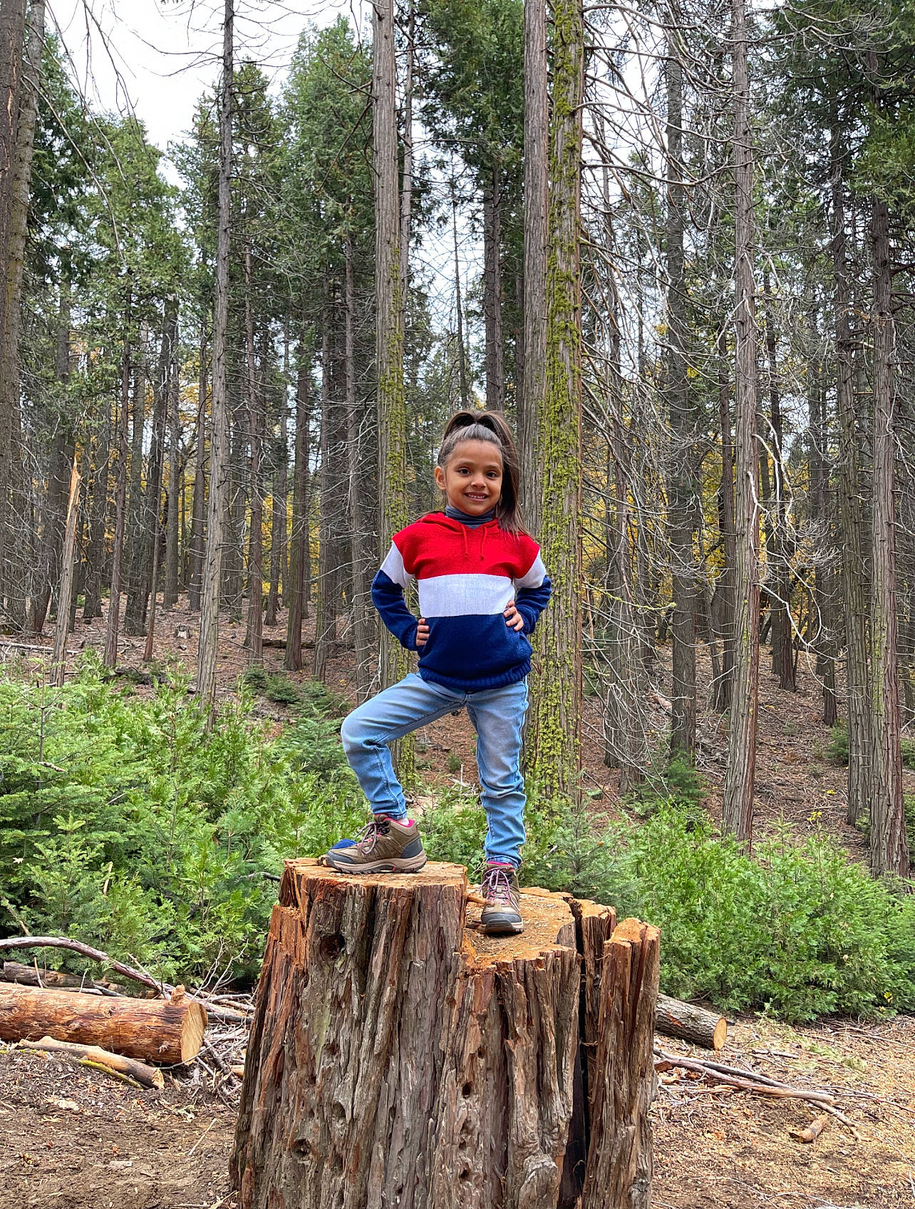 Rosie is registered to the contest to win money with this photo: balance, biome, branch, forest, grass, joy, leg, logging, natural_environment, natural_landscape, old_growth_forest, people_in_nature, person, plant, smile, terrestrial_plant, tree, trunk, wood, woodland