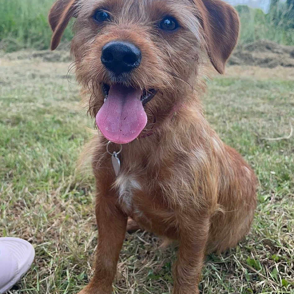Ruby