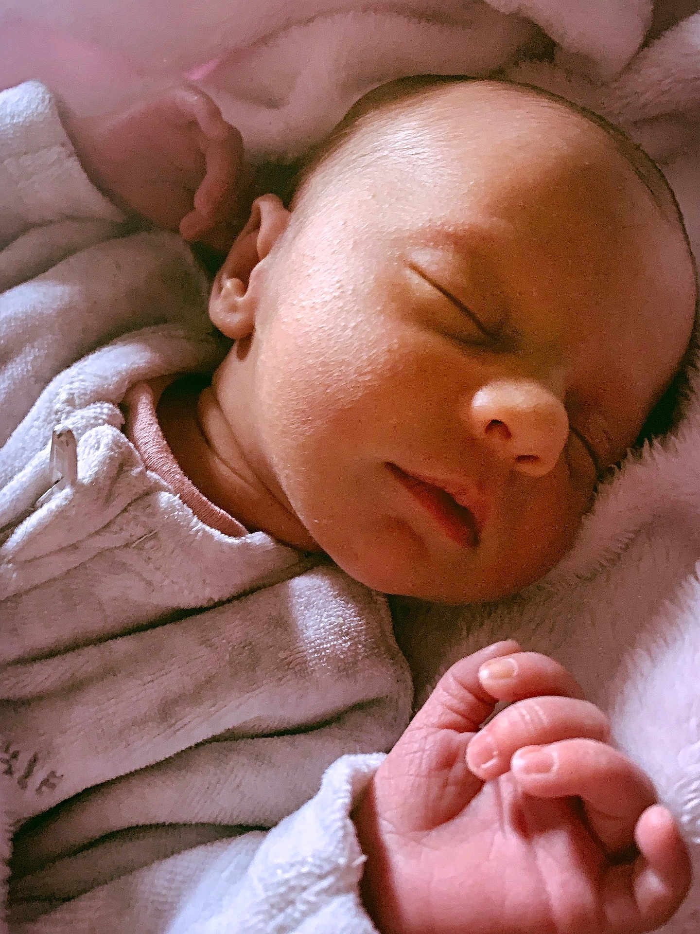 Liana Joy is registered to the contest to win money with this photo: newborn, baby, sleeping, infant, face, hand, fingers, blanket, clothing, soft, peaceful, closeup, portrait, cute, skin, rest, cozy, child, young, relax