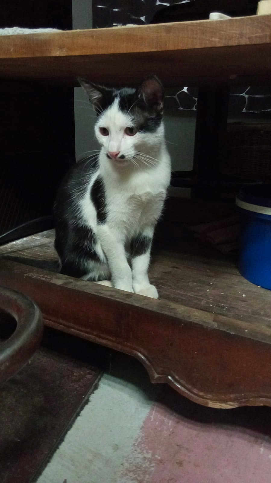 Pilou De La Grange