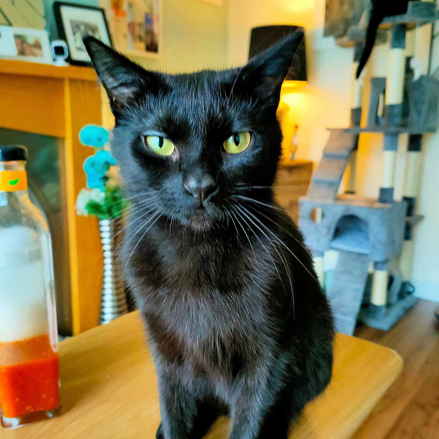 Luna