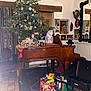 cat, christmas_tree, piano, decorations, ornaments, indoor, chair, carpet, artwork, mirror, gift_bag, wheelbarrow, floor_tiles, wooden_furniture, holiday, festive, curtains, wall_art, home, cozy