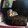 cat, chair, indoor, carpet, plush, relaxing, furniture, cozy, patterned_rug, brown, red, blue, wall, decor, pet, sleeping, resting, home, corner, comfortable