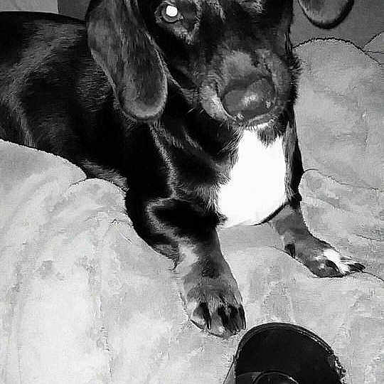 Charlie is registered to the contest to win money with this photo: