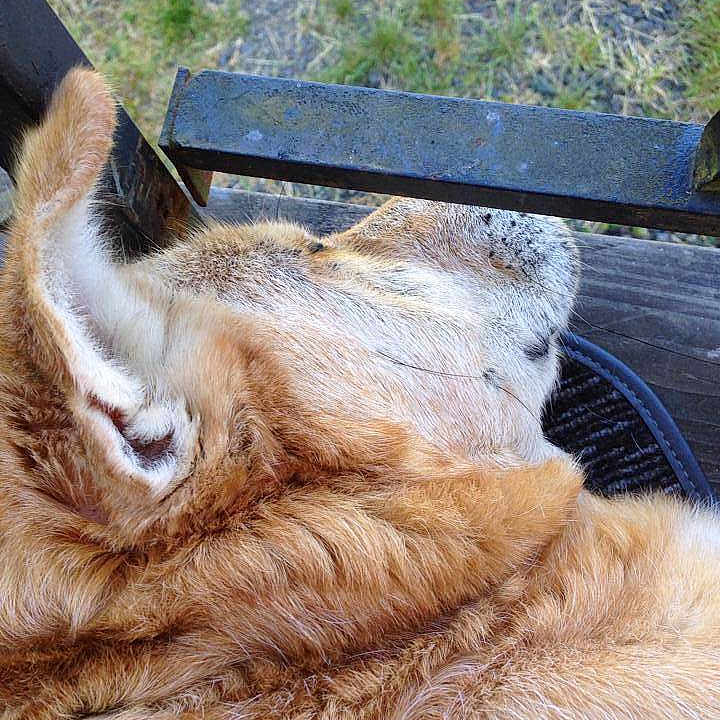 Casey is registered to the contest to win money with this photo: