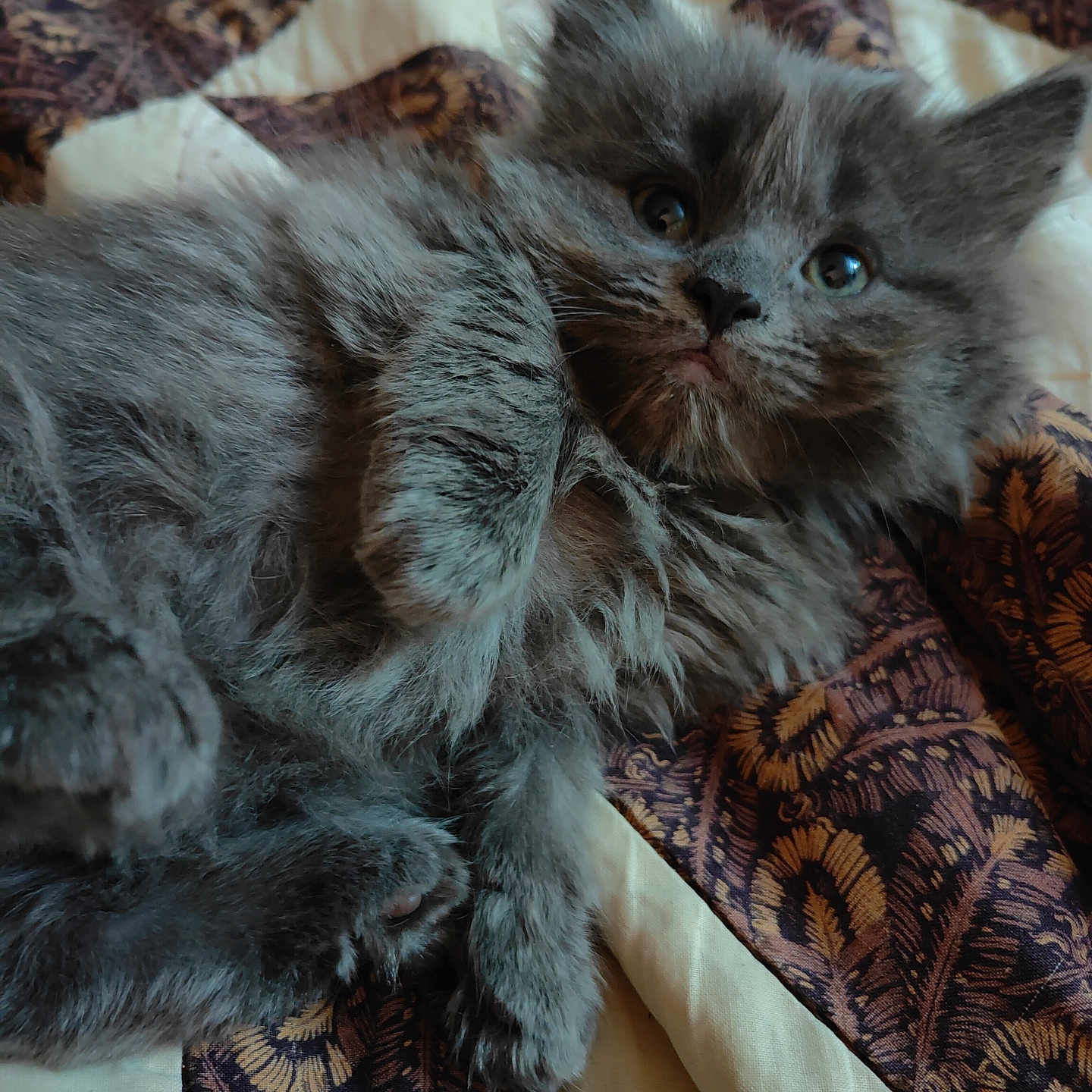 Kizzy