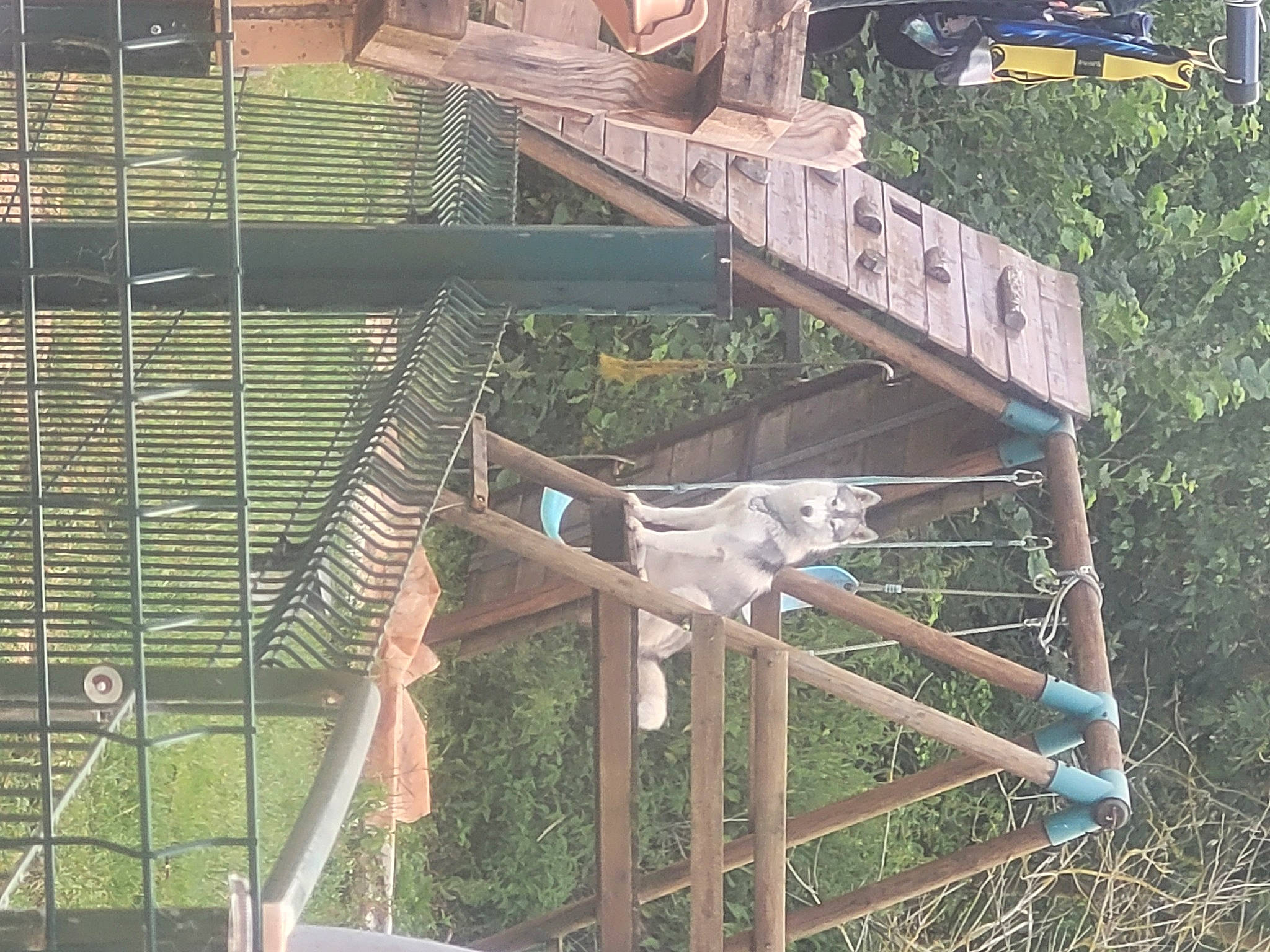 Taska participe au concours pour gagner de l'argent avec cette photo : automotive_wheel_system, beam, box_girder_bridge, bridge, girder_bridge, grass, guard_rail, handrail, landscape, leisure, mesh, metal, nonbuilding_structure, roof, steel, tree, urban_design, wood