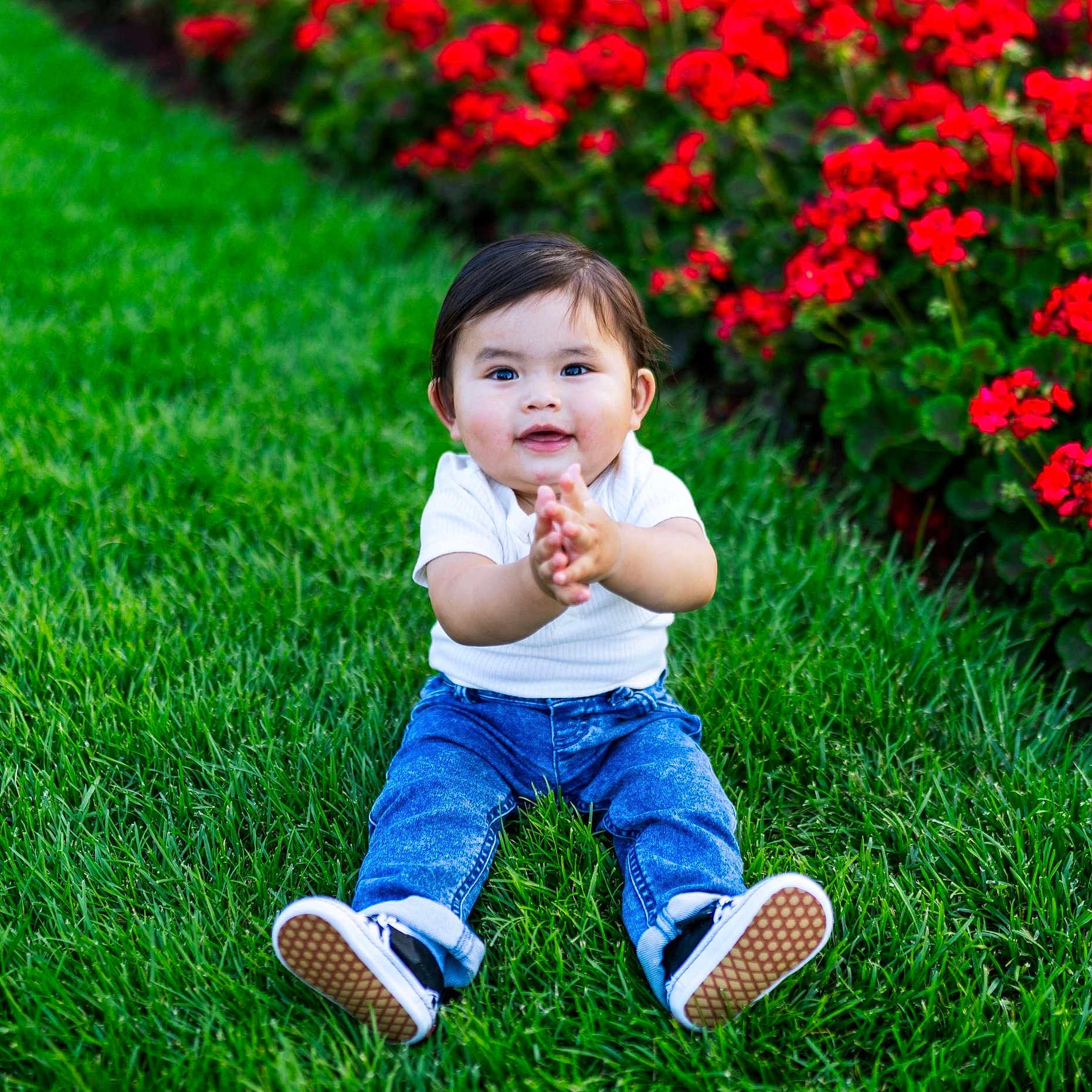 Darian joined the competition — help win amazing prizes! baby, child, clapping, cute, daylight, flowers, grass, greenery, happy, jeans, nature, outdoor, playful, portrait, red_flowers, sitting, smiling, sneakers, toddler, white_shirt