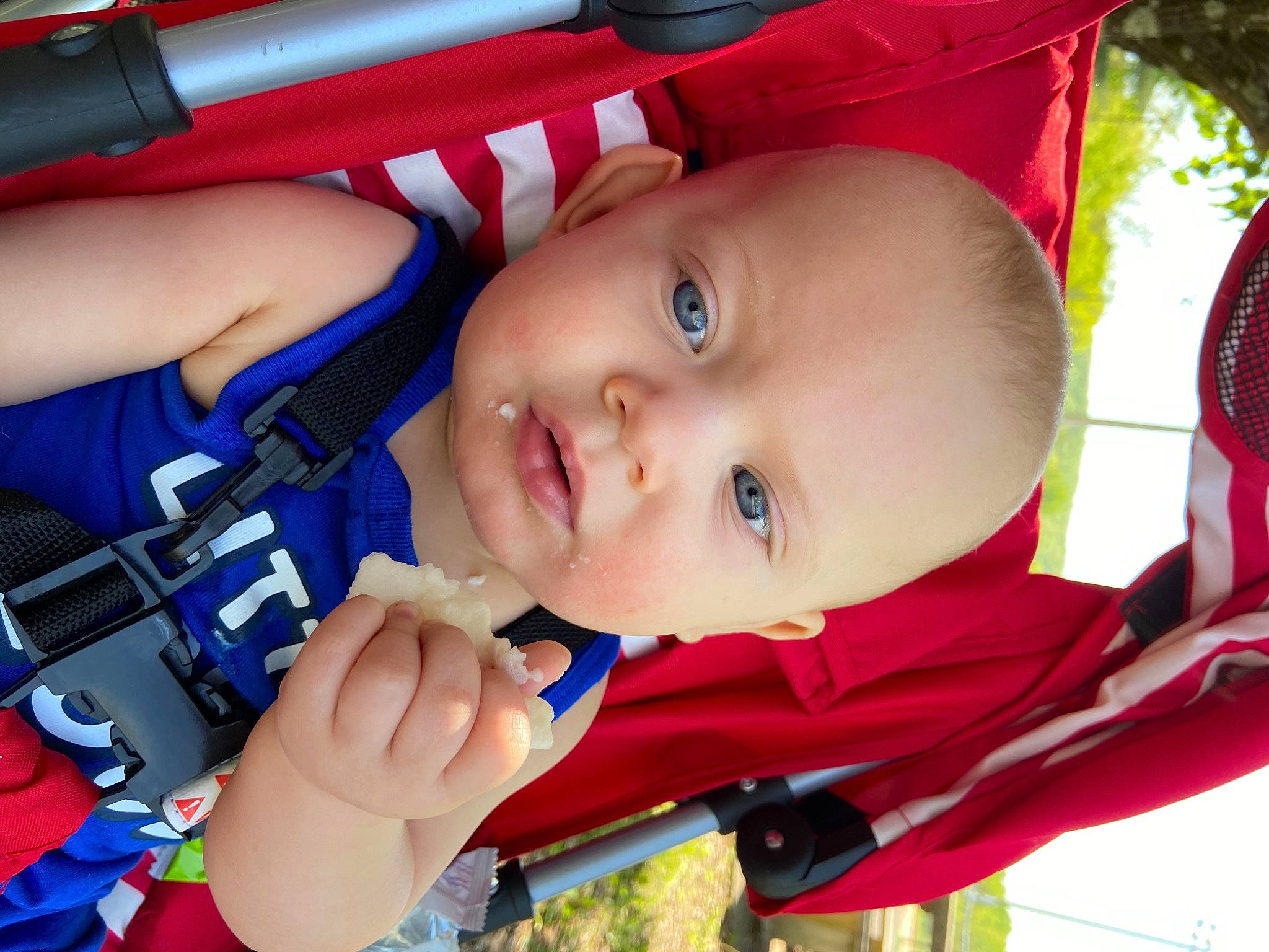 Koltyn is registered to the contest to win money with this photo: baby, baby_carriage, baby_products, baby_toddler_clothing, cheek, child, electric_blue, finger, fun, hand, leisure, mouth, nose, person, plant, product, recreation, red, skin, smile