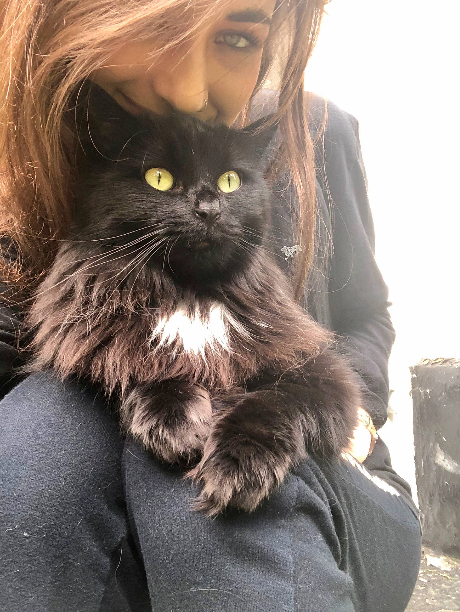 Kiba joined the competition — help win amazing prizes! beard, black_cat, black_hair, brown_hair, carnivore, cat, comfort, eyewear, felidae, formal_wear, fur, gesture, long_hair, plant, sitting, sleeve, small_to_medium_sized_cats, snout, sunglasses, whiskers