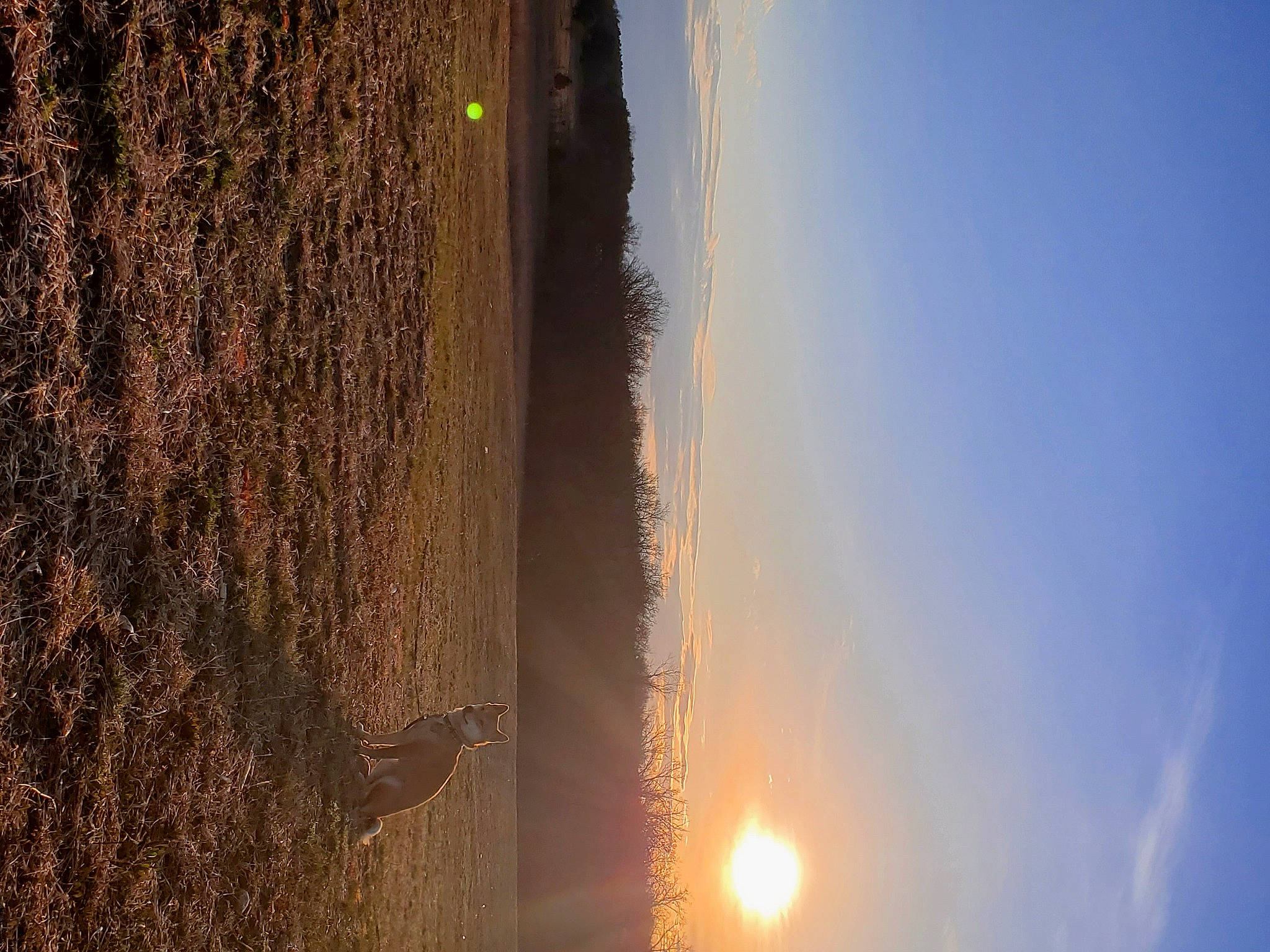 Reba is registered to the contest to win money with this photo: amber, astronomical_object, atmosphere, atmospheric_phenomenon, coast, dusk, ecoregion, evening, geological_phenomenon, heat, horizon, lens_flare, light, morning, sea, shore, sun, sunlight, sunrise, sunset