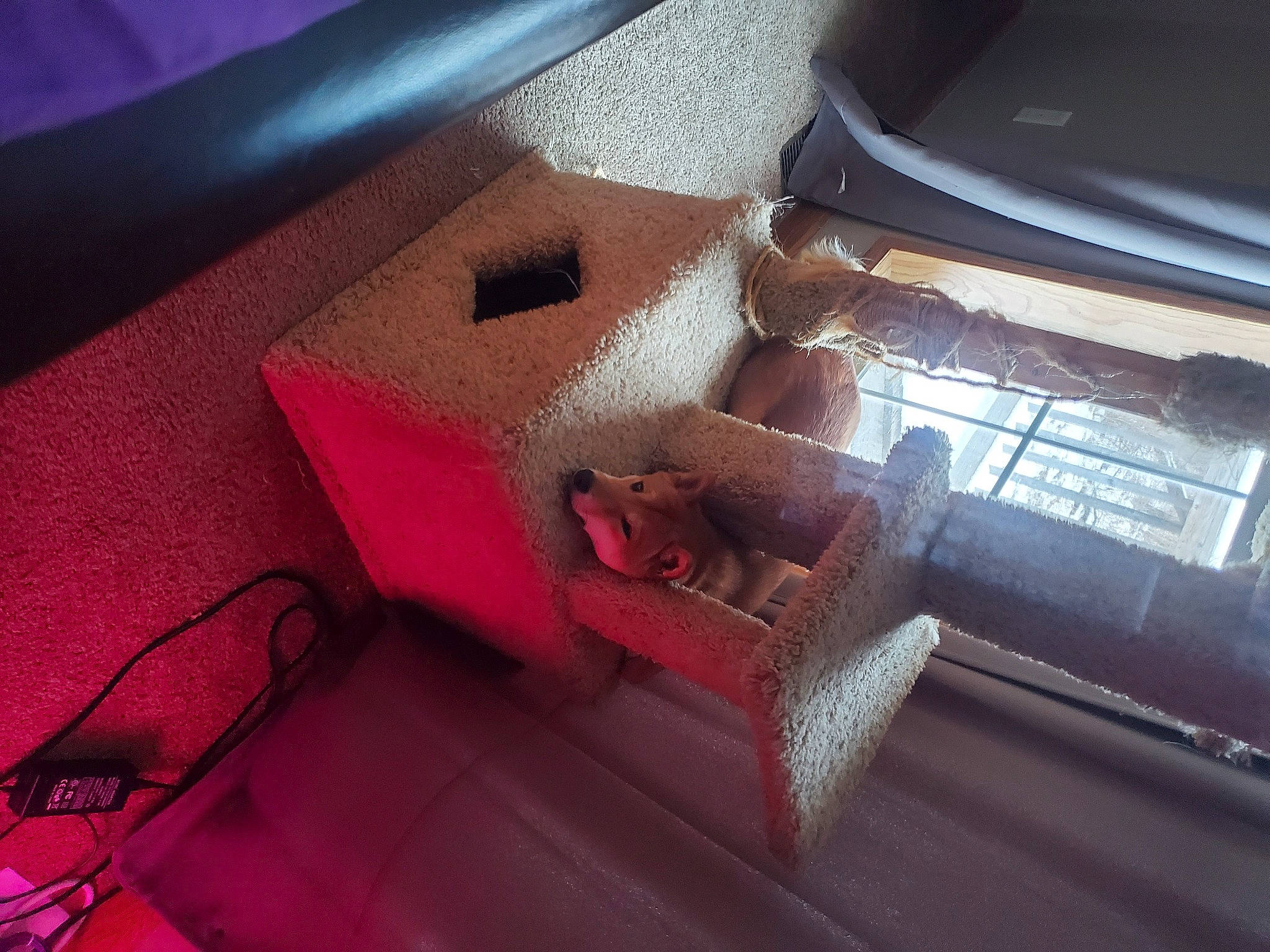 Reba is registered to the contest to win money with this photo: