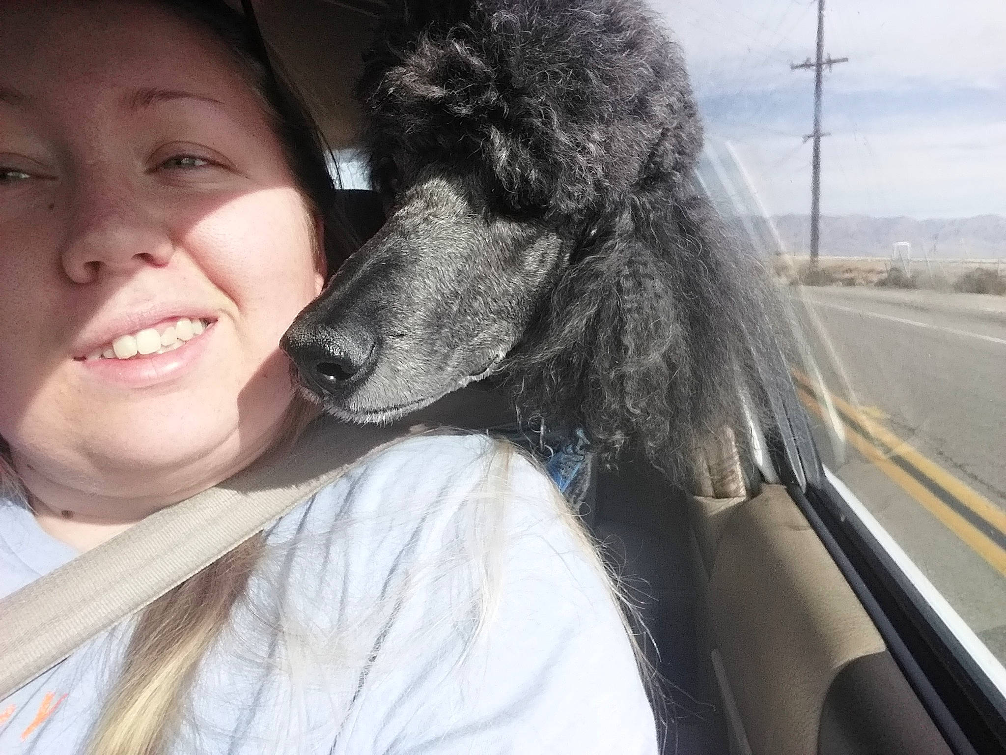 Elijah joined the competition — help win amazing prizes! canidae, carnivore, companion_dog, dog, dog_breed, joy, miniature_poodle, non_sporting_group, person, photography, poodle, selfie, smile, snout, sporting_group, standard_poodle, toy_dog, toy_poodle