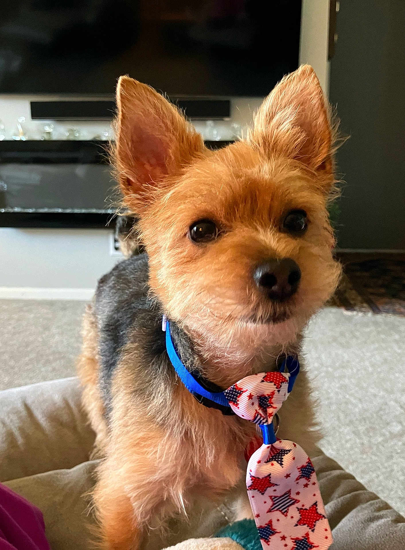 Mr Snickers