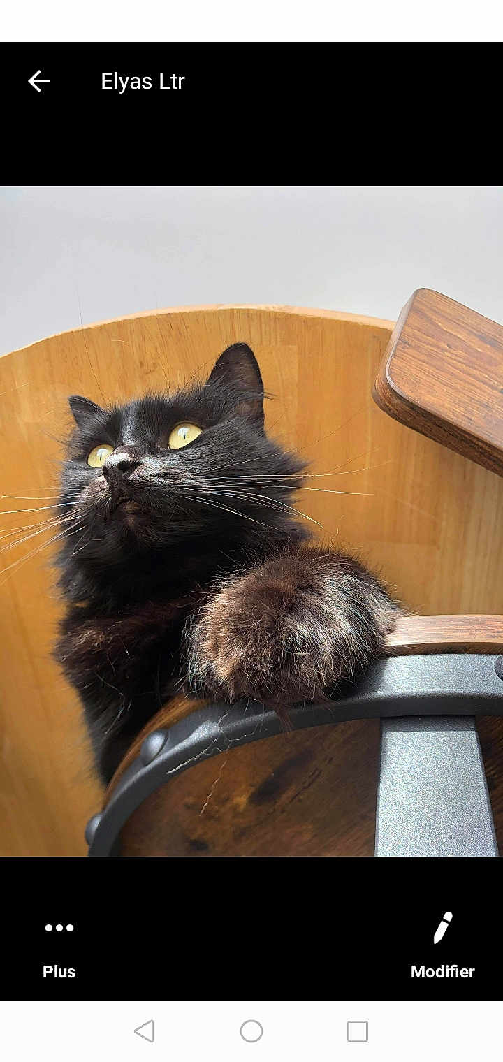 Blacky