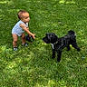 Elijah is registered to the contest to win money with this photo: baby, toddler, child, dog, puppy, black_dog, outdoor, grass, lawn, leash, pet, walking, standing, playing, sunlight, portrait, full_body, animal, companion, park