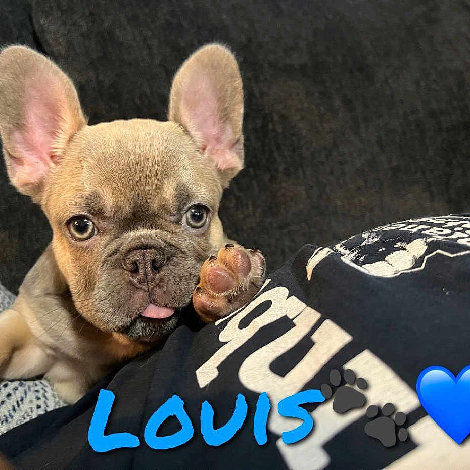 Louis