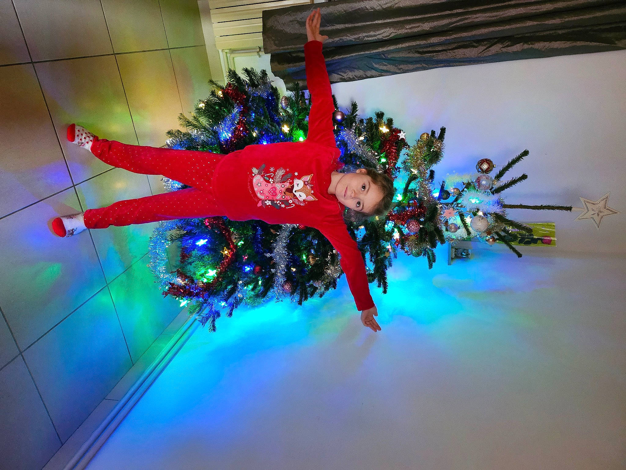 Louane a rejoint le concours — aidez-le/la à gagner de superbes lots ! carmine, christmas, christmas_decoration, christmas_eve, christmas_lights, christmas_ornament, decoration, electric_blue, event, floral_design, fun, holiday, holiday_ornament, interior_design, ornament, person, plant, tradition, tree, twig