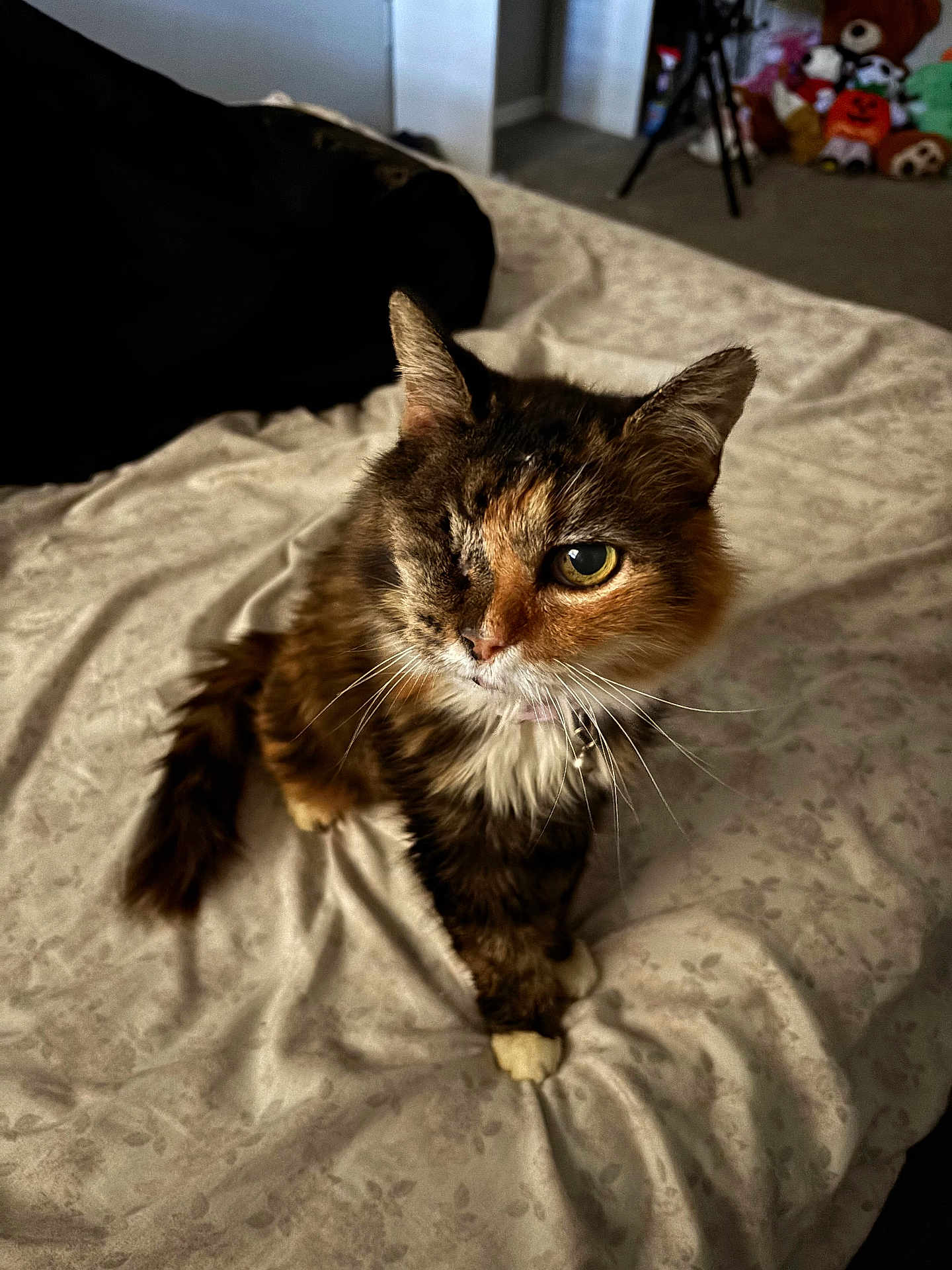 Helen