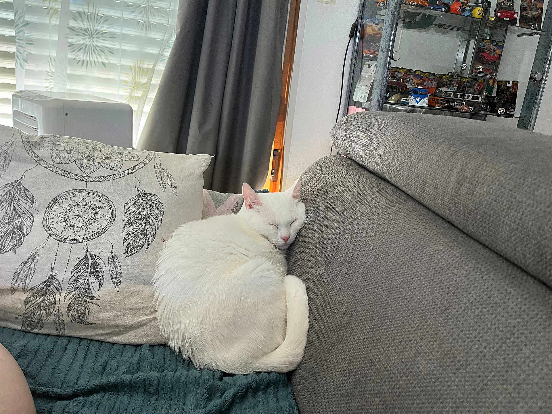 Uta participe au concours pour gagner de l'argent avec cette photo : cat, white_cat, sleeping, couch, pillow, feather_design, curtains, window, indoor, cozy, furniture, resting, pet, domestic_animal, home, relaxation, soft_light, blanket, quiet, peaceful