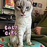 Gigi is registered to the contest to win money with this photo: cat, blue_eye, heterochromia, tongue_out, pajamas, cartoon_characters, indoor, person, green_clothing, tv_screen, furniture, cozy, pink_text, heart_emoji, pet, cute, animal, domestic, playful, portrait