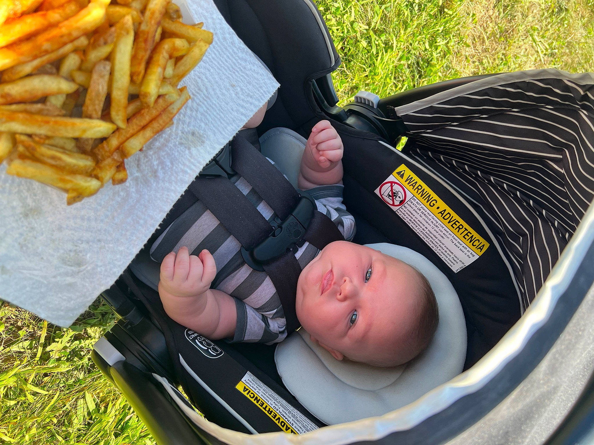 Roman is registered to the contest to win money with this photo: baby, baby_carriage, baby_products, baby_toddler_clothing, canadian_cuisine, comfort, cuisine, deep_frying, dish, fast_food, finger_food, food, french_fries, fried_food, frying, grass, ingredient, person, plant, toddler