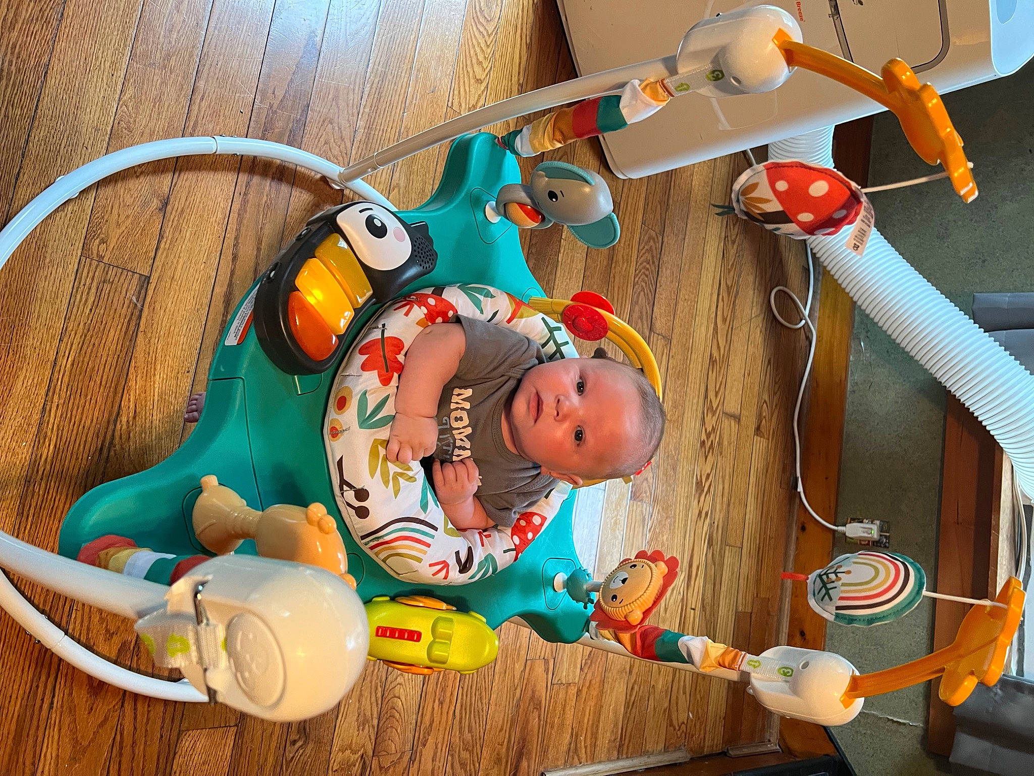 Roman joined the competition — help win amazing prizes! animation, baby, baby_products, baby_safety, baby_toys, child, fun, leisure, machine, medical_equipment, orange, person, play, room, stuffed_toy, toddler, toy, visual_arts, wood